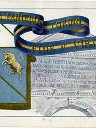 Cartolina 1° e 3° SQUADRONE dei DRAGONI del Re