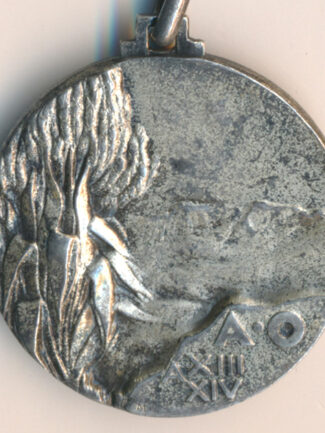 MEDAGLIA MVSN DIVISIONE 23 MARZO ARGENTO AFRICA COLONIALE