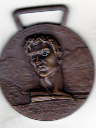 VI raduno artiglieri d'Italia a venezia 1938