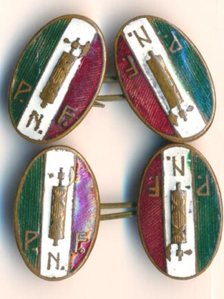 SQUADRISMO COPPIA DI GEMELLI ANTEMARCIA SU ROMA