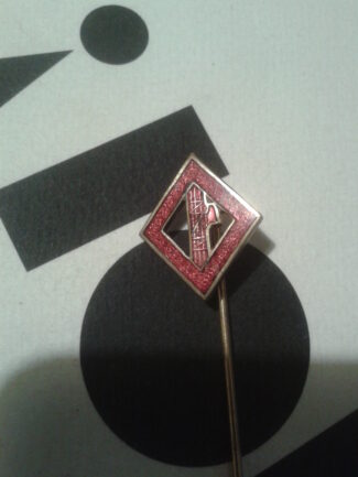 DISTINTIVO SQUADRISTA
