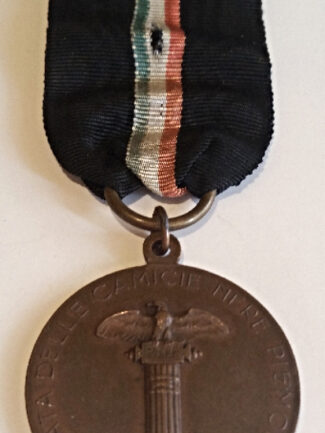 MEDAGLIA ADUNATA DELLE CCNN  MOD. GRANDE