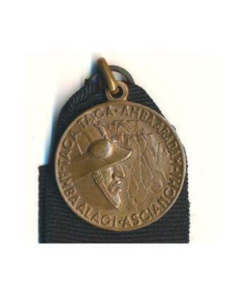 MEDAGLIA DI BRONZO 215 LEGIONE IV DIVISIONE CC NN 3 GENNAIO MVSN AFRICA