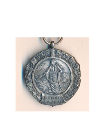 MEDAGLIA AL MERITO IN CAMPAGNA SPAGNOLA PER ITALIANI