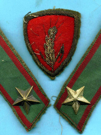 DIVISIONE DI FANTERIA CREMONA ANNI 50/60