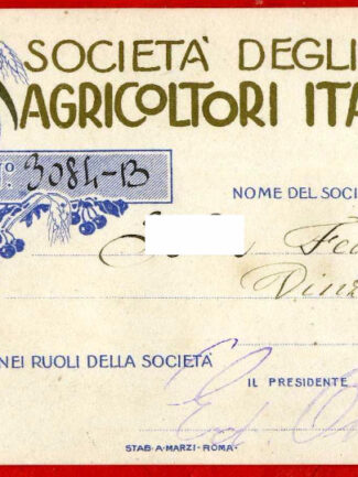 TESSERA 1913 VINZAGLIO ( NOVARA ) S.A.I.