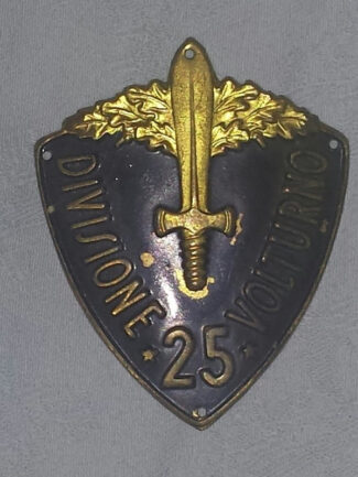 Scudetto da braccio da truppa Divisione Volturno